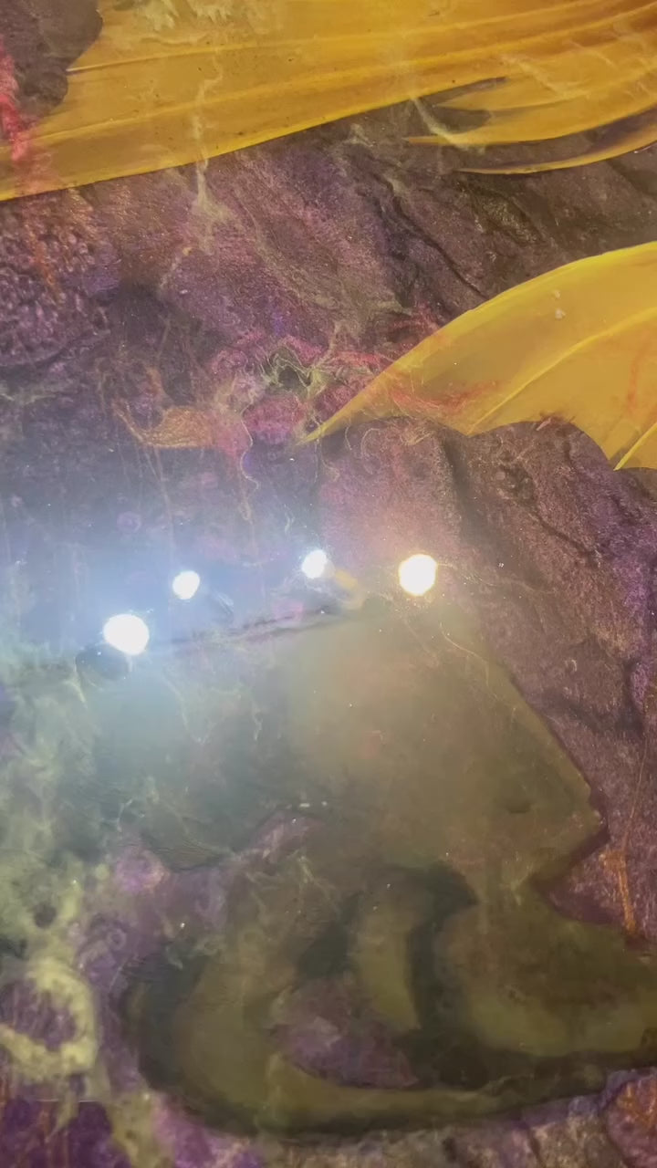 動画を読み込む: 